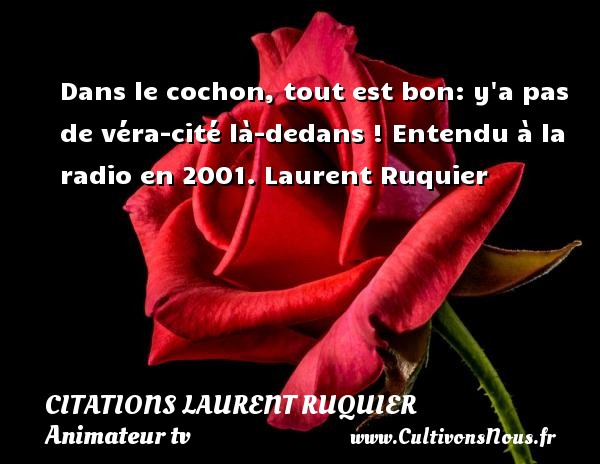 Dans le cochon, tout est bon: y a pas de véra-cité là-dedans ! Entendu à la radio en 2001. Laurent Ruquier CITATIONS LAURENT RUQUIER - journaliste