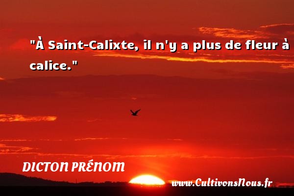 À Saint-Calixte, il n y a plus de fleur à calice. DICTON PRÉNOM - Dicton prénom