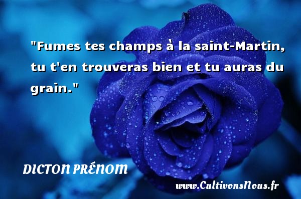 Fumes tes champs à la saint-Martin, tu t en trouveras bien et tu auras du grain. DICTON PRÉNOM - Dicton prénom