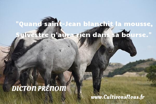 Quand saint-Jean blanchit la mousse, Sylvestre n aura rien dans sa bourse. DICTON PRÉNOM - Dicton prénom