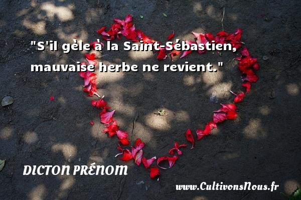 S il gèle à la Saint-Sébastien, mauvaise herbe ne revient. DICTON PRÉNOM - Dicton prénom