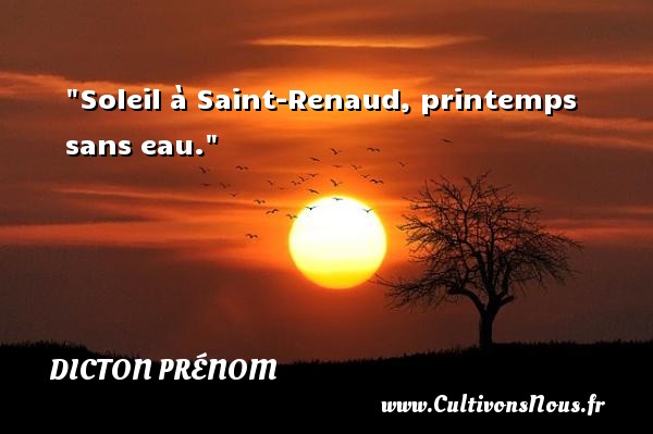 Soleil à Saint-Renaud, printemps sans eau. DICTON PRÉNOM - Dicton prénom