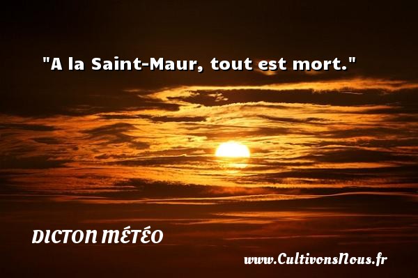 A la Saint-Maur, tout est mort. DICTON MÉTÉO - Dicton météo