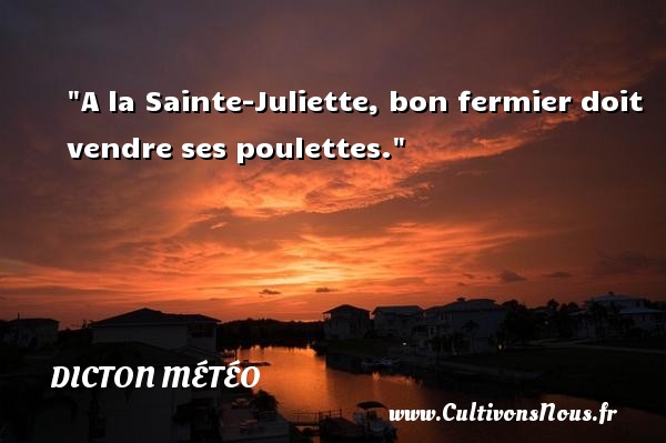 A la Sainte-Juliette, bon fermier doit vendre ses poulettes. DICTON MÉTÉO - Dicton météo