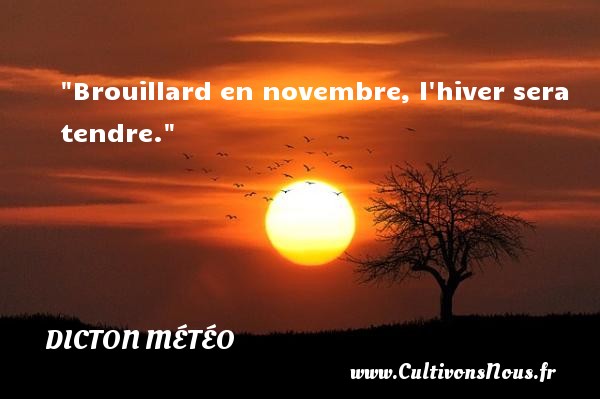 Brouillard en novembre, l hiver sera tendre. DICTON MÉTÉO - Dicton météo