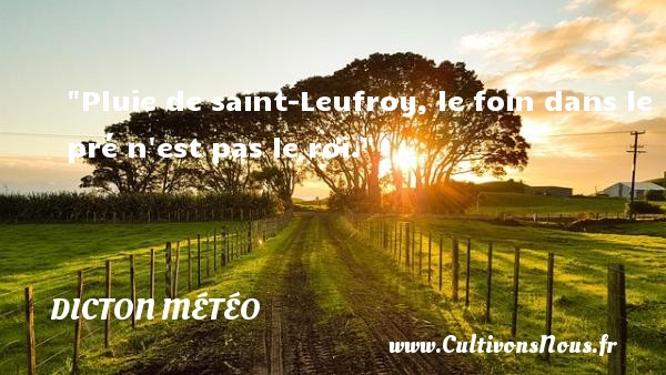 Pluie de saint-Leufroy, le foin dans le pré n est pas le roi. DICTON MÉTÉO - Dicton météo