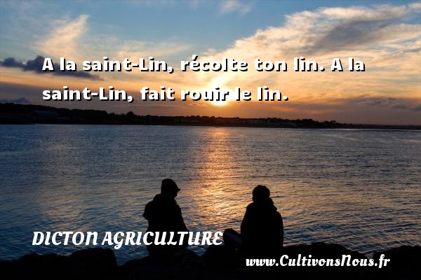 A la saint-Lin, récolte ton lin. A la saint-Lin, fait rouir le lin. DICTON AGRICULTURE