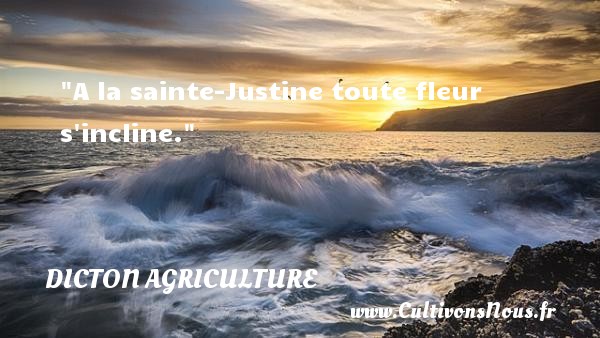 A la sainte-Justine toute fleur s incline. DICTON AGRICULTURE