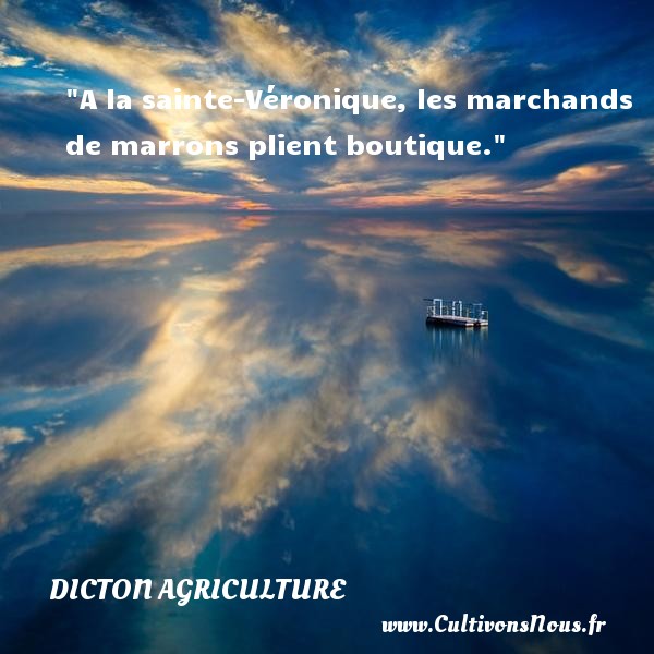 A la sainte-Véronique, les marchands de marrons plient boutique. DICTON AGRICULTURE