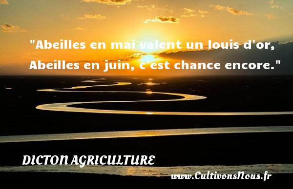 Abeilles en mai valent un louis d or, Abeilles en juin, c est chance encore. DICTON AGRICULTURE