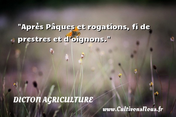 Après Pâques et rogations, fi de prestres et d oignons. DICTON AGRICULTURE