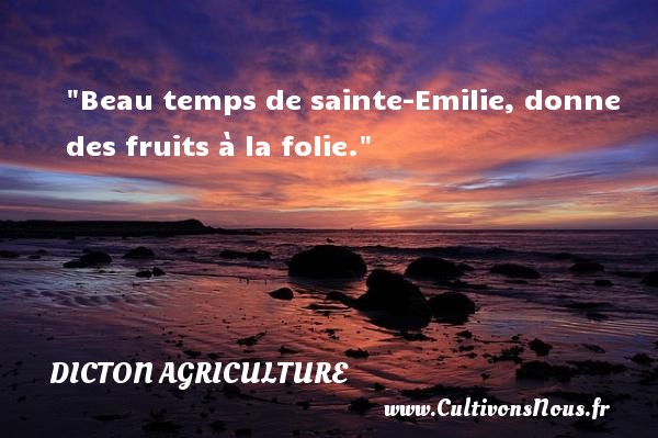 Beau temps de sainte-Emilie, donne des fruits à la folie. DICTON AGRICULTURE