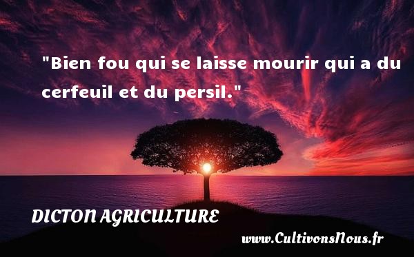 Bien fou qui se laisse mourir qui a du cerfeuil et du persil. DICTON AGRICULTURE