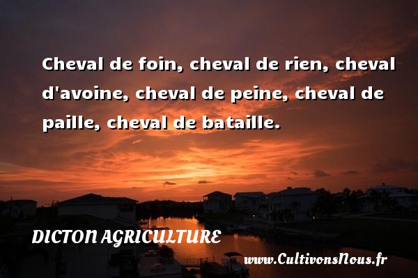 Cheval de foin, cheval de rien, cheval d avoine, cheval de peine, cheval de paille, cheval de bataille. DICTON AGRICULTURE