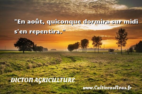 En août, quiconque dormira sur midi s en repentira. DICTON AGRICULTURE