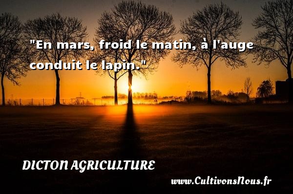 En mars, froid le matin, à l auge conduit le lapin. DICTON AGRICULTURE