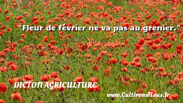 Fleur de février ne va pas au grenier. DICTON AGRICULTURE