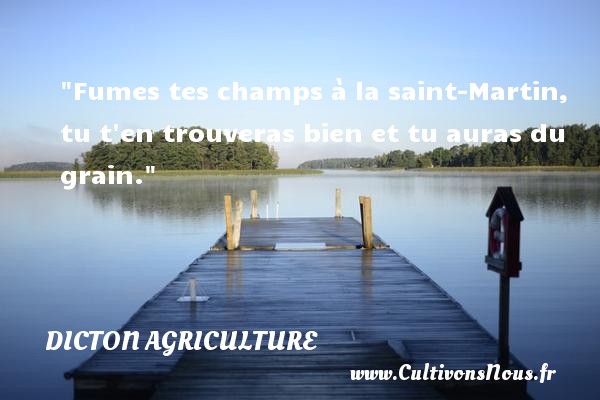 Fumes tes champs à la saint-Martin, tu t en trouveras bien et tu auras du grain. DICTON AGRICULTURE