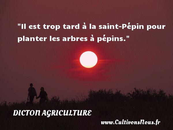 Il est trop tard à la saint-Pépin pour planter les arbres à pépins. DICTON AGRICULTURE