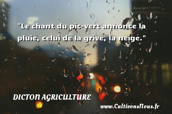 Le chant du pic-vert annonce la pluie, celui de la grive, la neige. DICTON AGRICULTURE