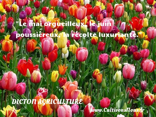 Le mai orgueilleux, le juin poussiéreux, la récolte luxuriante. DICTON AGRICULTURE