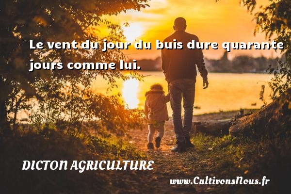 Le vent du jour du buis dure quarante jours comme lui. DICTON AGRICULTURE