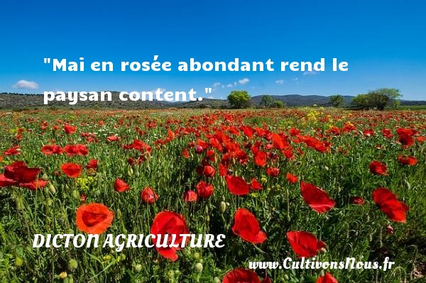 Mai en rosée abondant rend le paysan content. DICTON AGRICULTURE