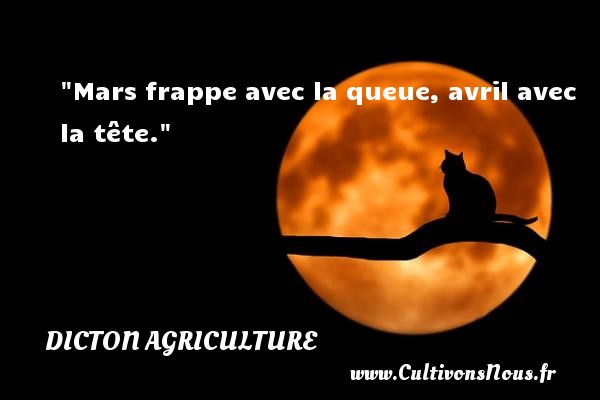 Mars frappe avec la queue, avril avec la tête. DICTON AGRICULTURE