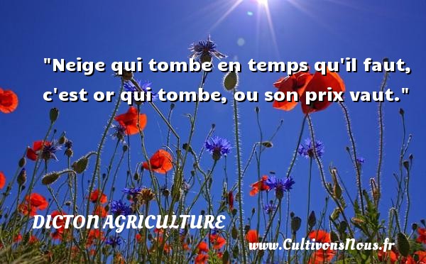 Neige qui tombe en temps qu il faut, c est or qui tombe, ou son prix vaut. DICTON AGRICULTURE