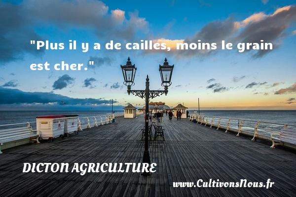 Plus il y a de cailles, moins le grain est cher. DICTON AGRICULTURE