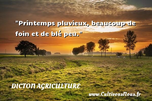 Printemps pluvieux, beaucoup de foin et de blé peu. DICTON AGRICULTURE