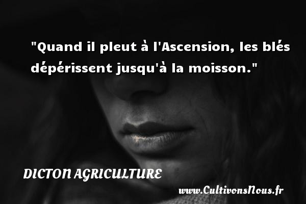 Quand il pleut à l Ascension, les blés dépérissent jusqu à la moisson. DICTON AGRICULTURE