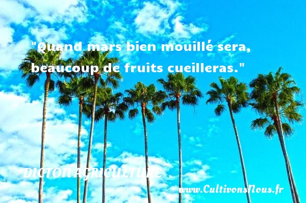 Quand mars bien mouillé sera, beaucoup de fruits cueilleras. DICTON AGRICULTURE