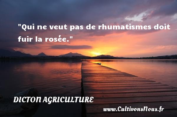 Qui ne veut pas de rhumatismes doit fuir la rosée. DICTON AGRICULTURE