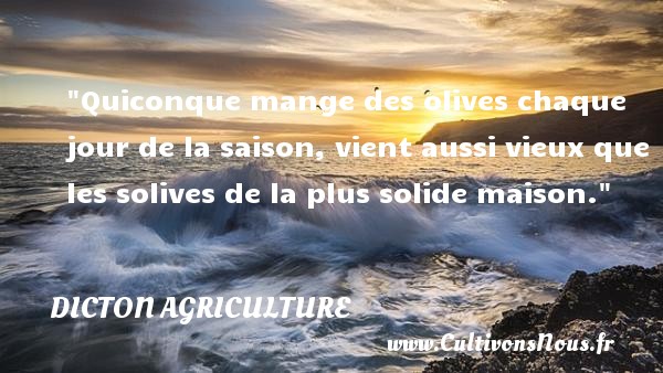 Quiconque mange des olives chaque jour de la saison, vient aussi vieux que les solives de la plus solide maison. DICTON AGRICULTURE