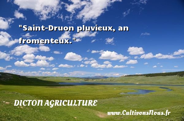 Saint-Druon pluvieux, an fromenteux. DICTON AGRICULTURE