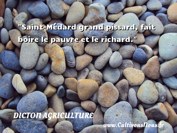 Saint-Médard grand pissard, fait boire le pauvre et le richard. DICTON AGRICULTURE