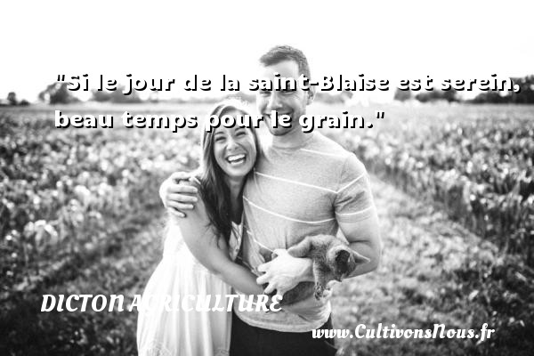 Si le jour de la saint-Blaise est serein, beau temps pour le grain. DICTON AGRICULTURE