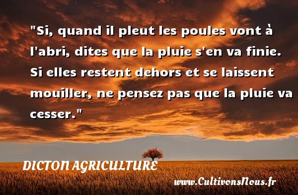 Si, quand il pleut les poules vont à l abri, dites que la pluie s en va finie. Si elles restent dehors et se laissent mouiller, ne pensez pas que la pluie va cesser. DICTON AGRICULTURE