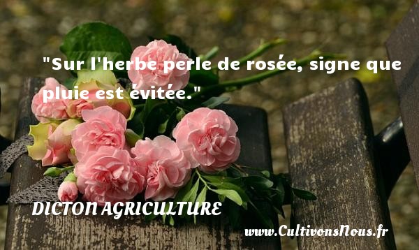 Sur l herbe perle de rosée, signe que pluie est évitée. DICTON AGRICULTURE