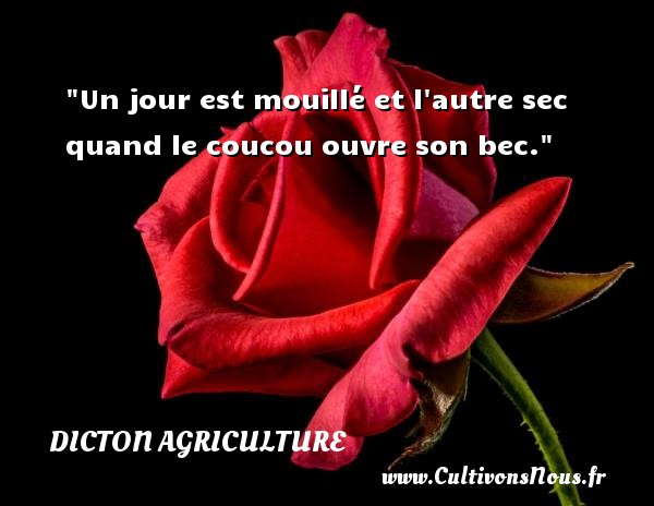 Un jour est mouillé et l autre sec quand le coucou ouvre son bec. DICTON AGRICULTURE