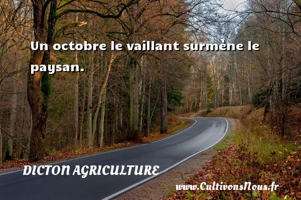 Un octobre le vaillant surmène le paysan. DICTON AGRICULTURE