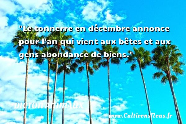 Le tonnerre en décembre annonce pour l an qui vient aux bêtes et aux gens abondance de biens. DICTON ANIMAUX