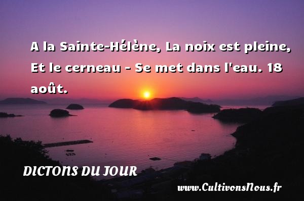 A la Sainte-Hélène, La noix est pleine, Et le cerneau - Se met dans l eau. 18 août. DICTONS DU JOUR